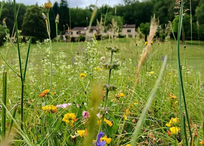 بيت للعطل Font Neuve سويلاك